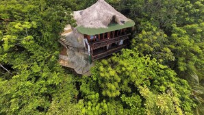 A thatched-roof building surrounded by dense forest. - Finca La Jorará (Santa Marta)