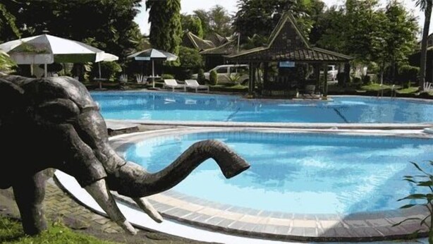Una piscina amb una estàtua d'un filó.
