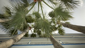 A view of tall palm trees against a building facade with blue accents. - Hotel Ilusion Vista Blava (Son Servera)