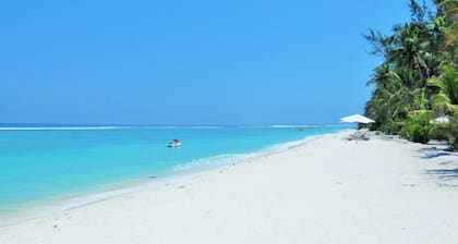Planktons Beach