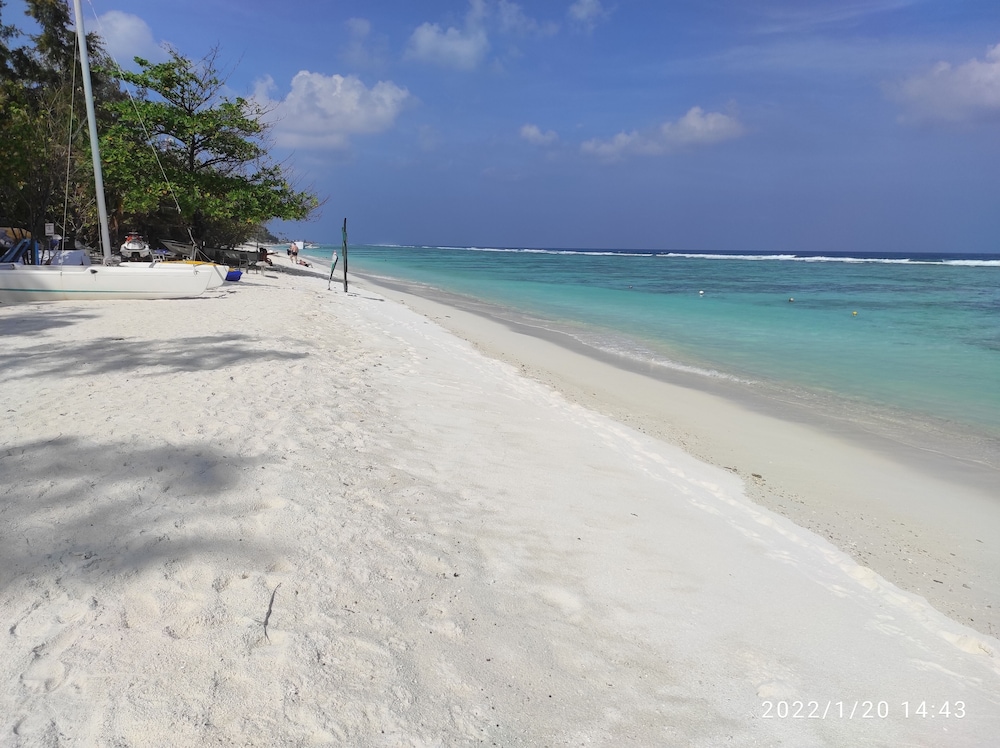 Planktons Beach by null