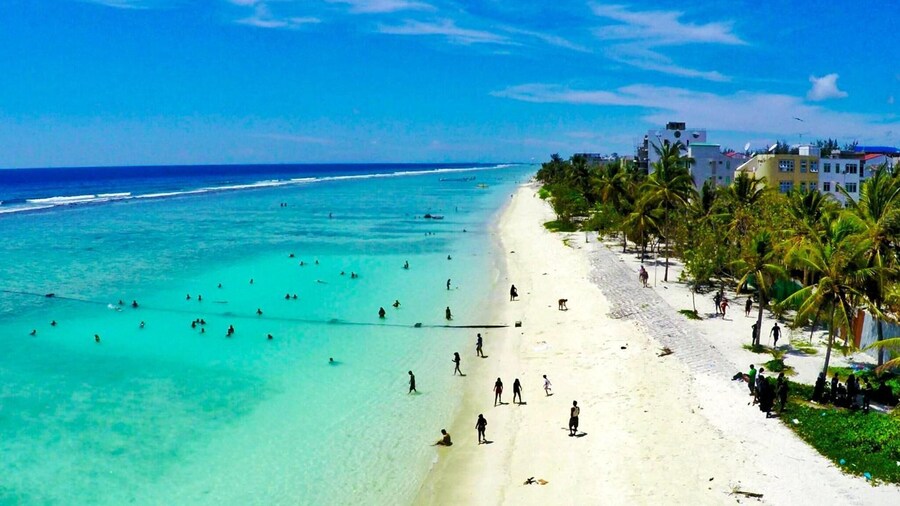 Planktons Beach