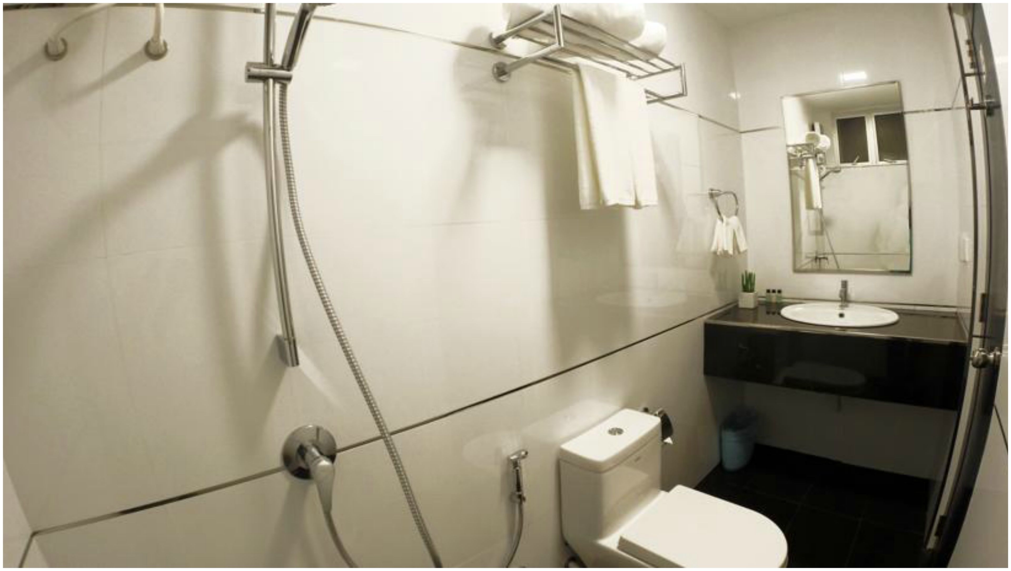 A modern bathroom with a glass shower enclosure, a toilet, a sink, and a mirror.