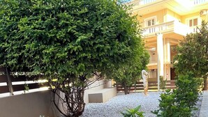 A landscaped garden with gravel paths, a variety of shrubs, and a large tree. - Pantheon Apartments (Chania)