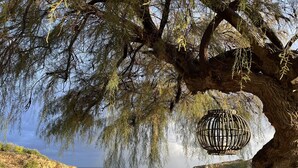 A beach with a large tree and a hanging wicker lamp. - Pantheon Apartments (Chania)