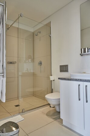 Shower, free toiletries, hair dryer, bathrobes