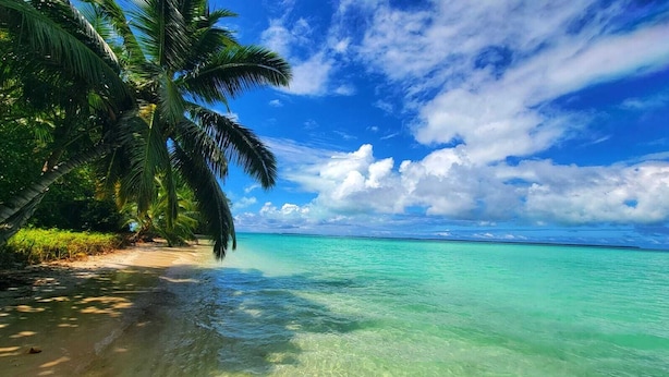 A beach with clear turquoise water, palm trees, and a clear sky. - Oceania House (Home Island)