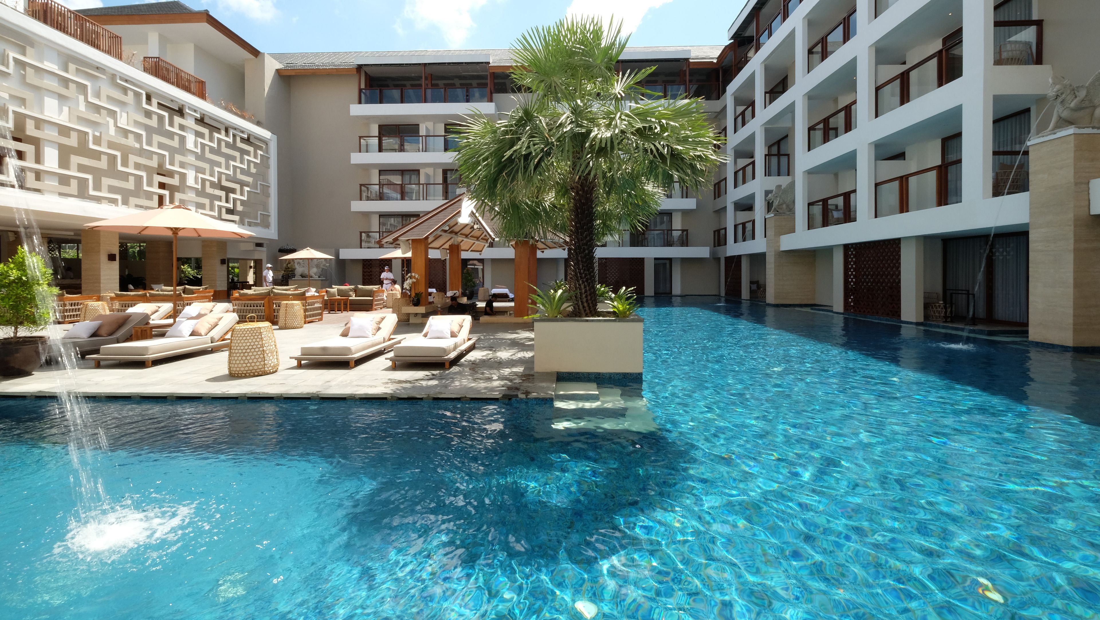 A pool area with lounge chairs and a palm tree.