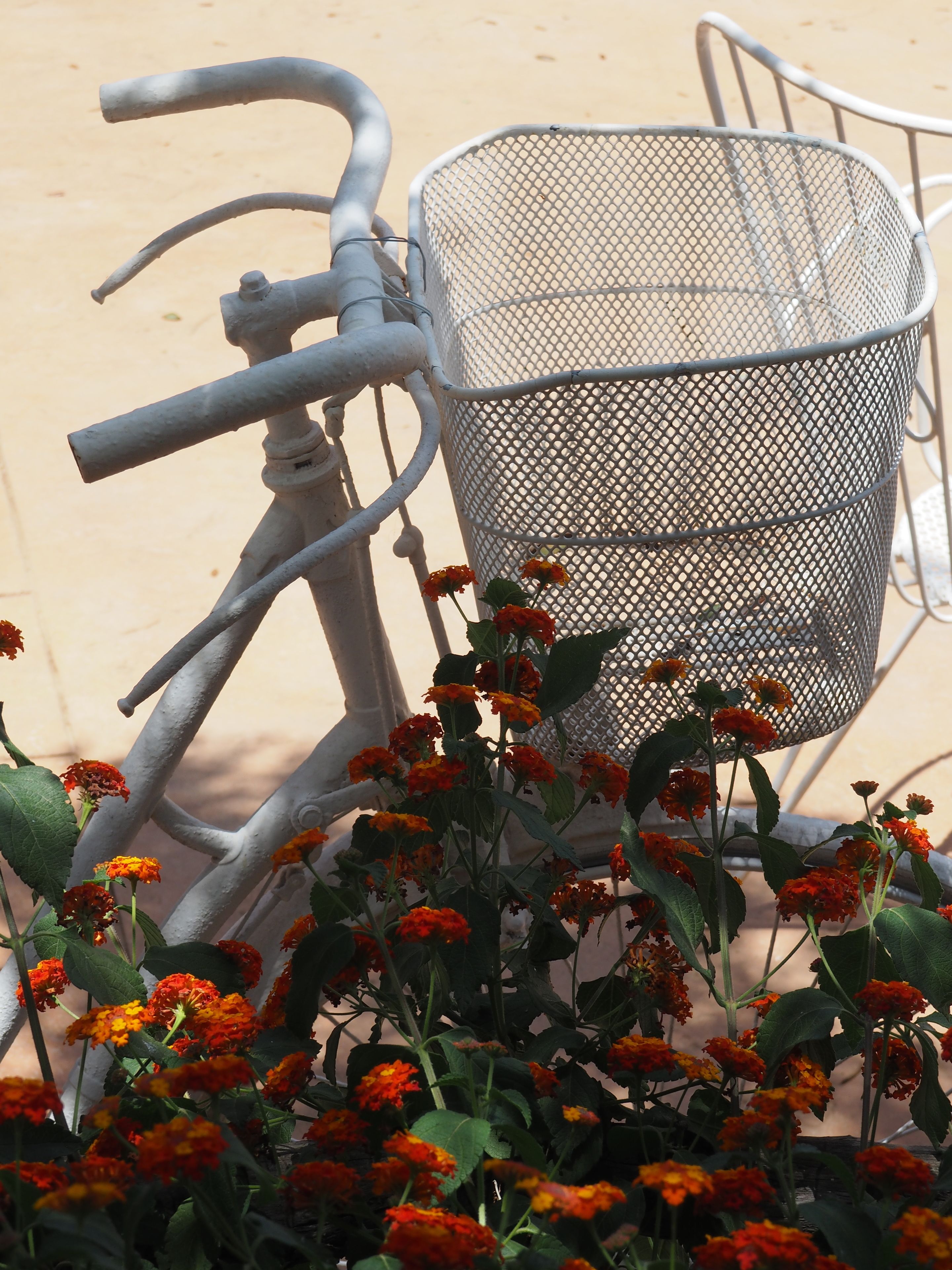 Photo - Son Mercadal