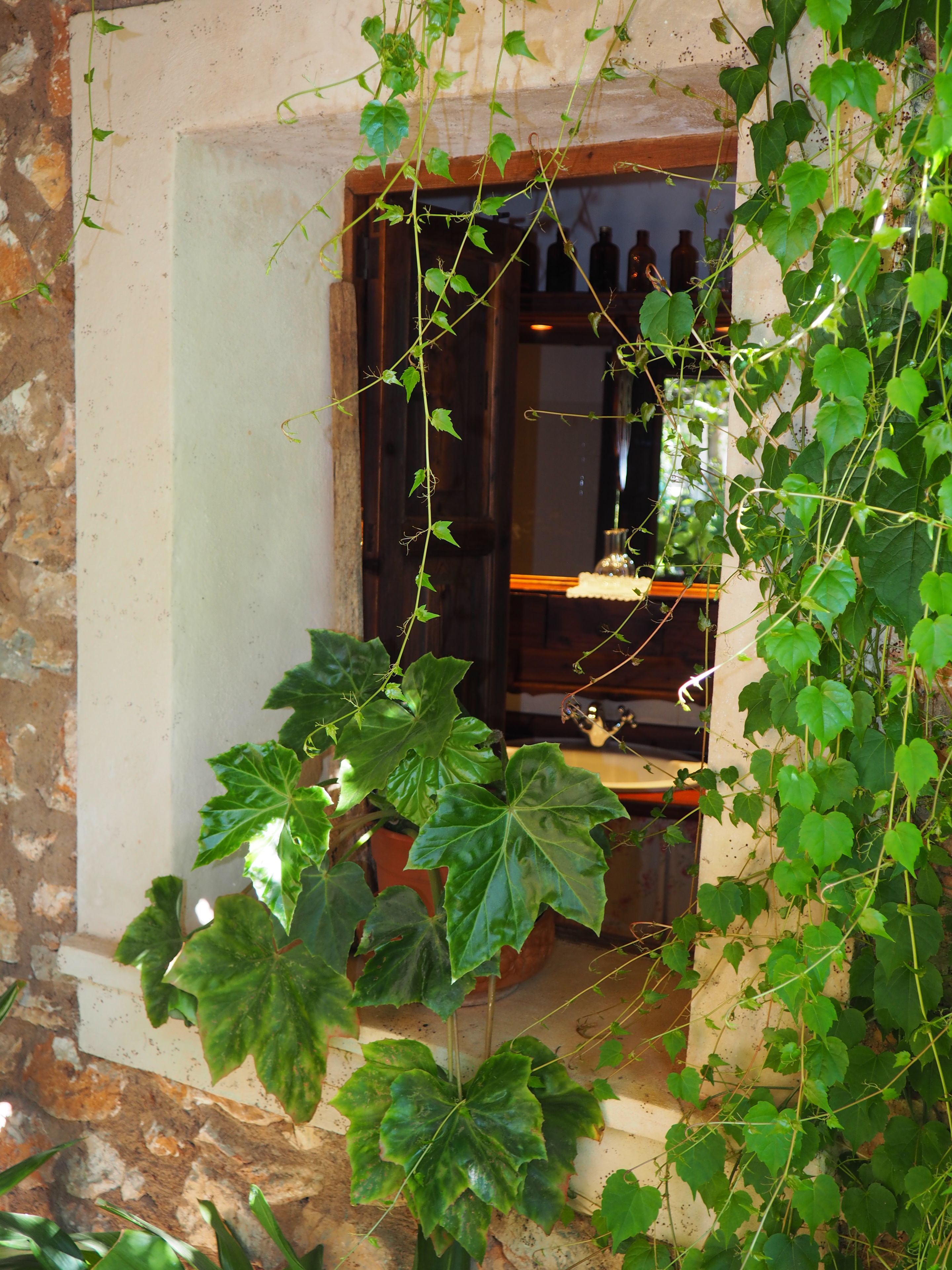 Photo - Son Mercadal