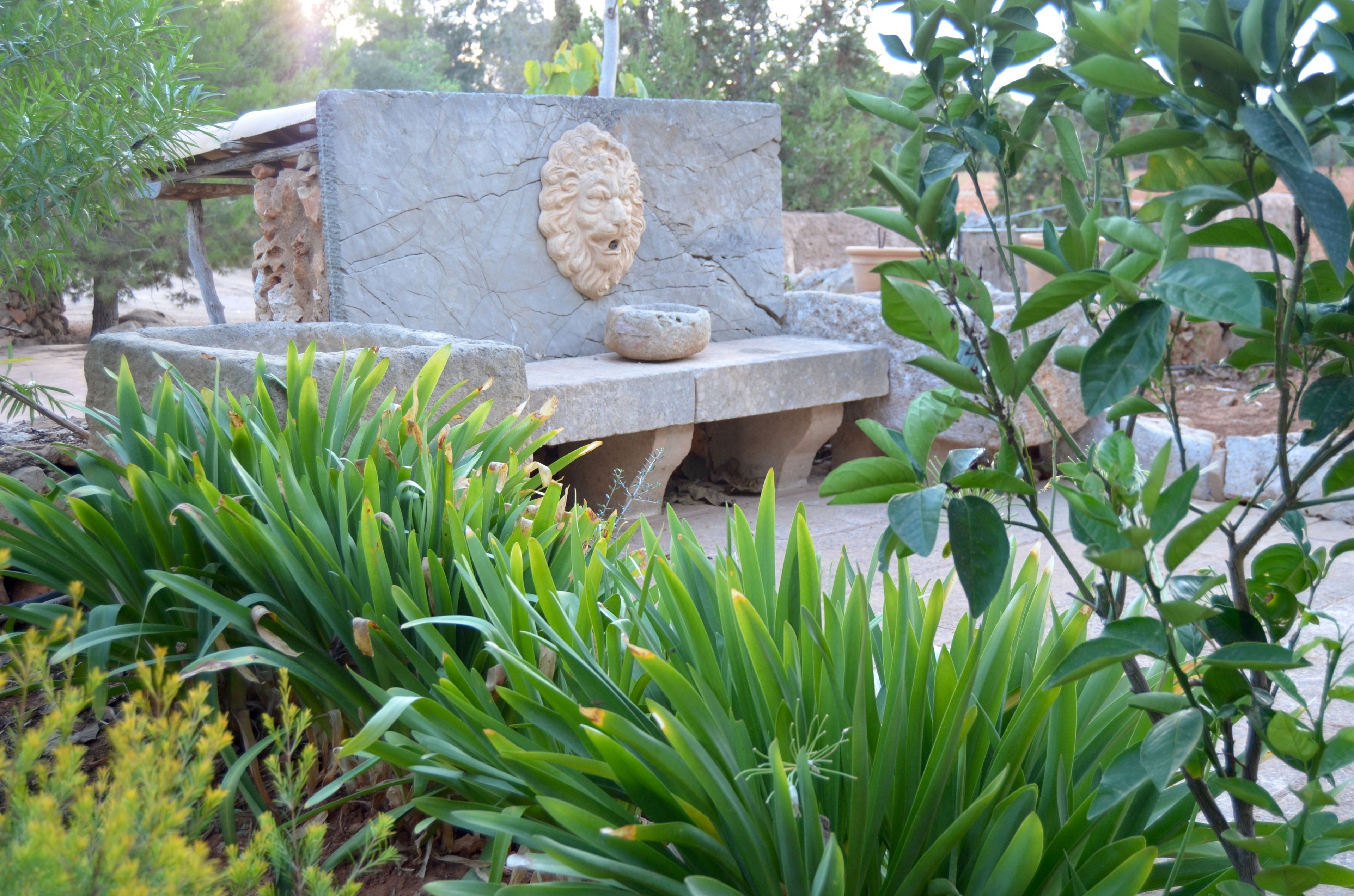 Photo - Son Mercadal