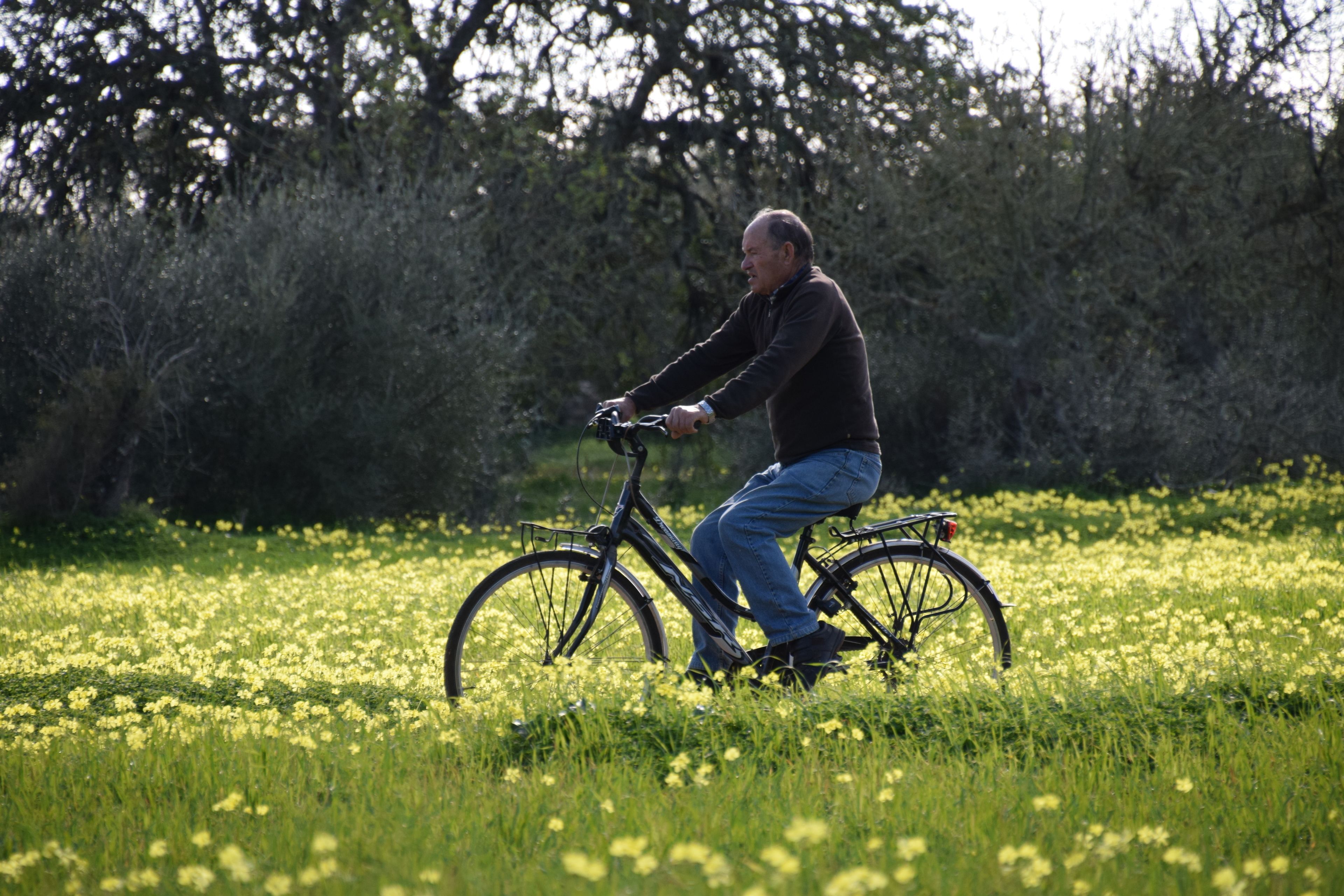 Photo - Son Mercadal