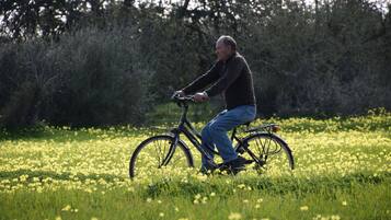 A person riding a bicycle in a field of yellow flowers.