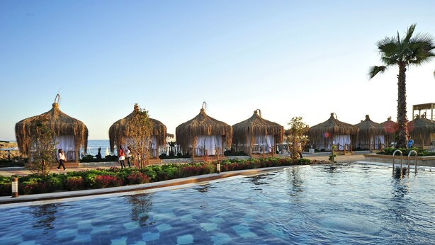 A pool area with thatched umbrellas and a palm tree. - Adenya Hotel & Resort (Alanya)