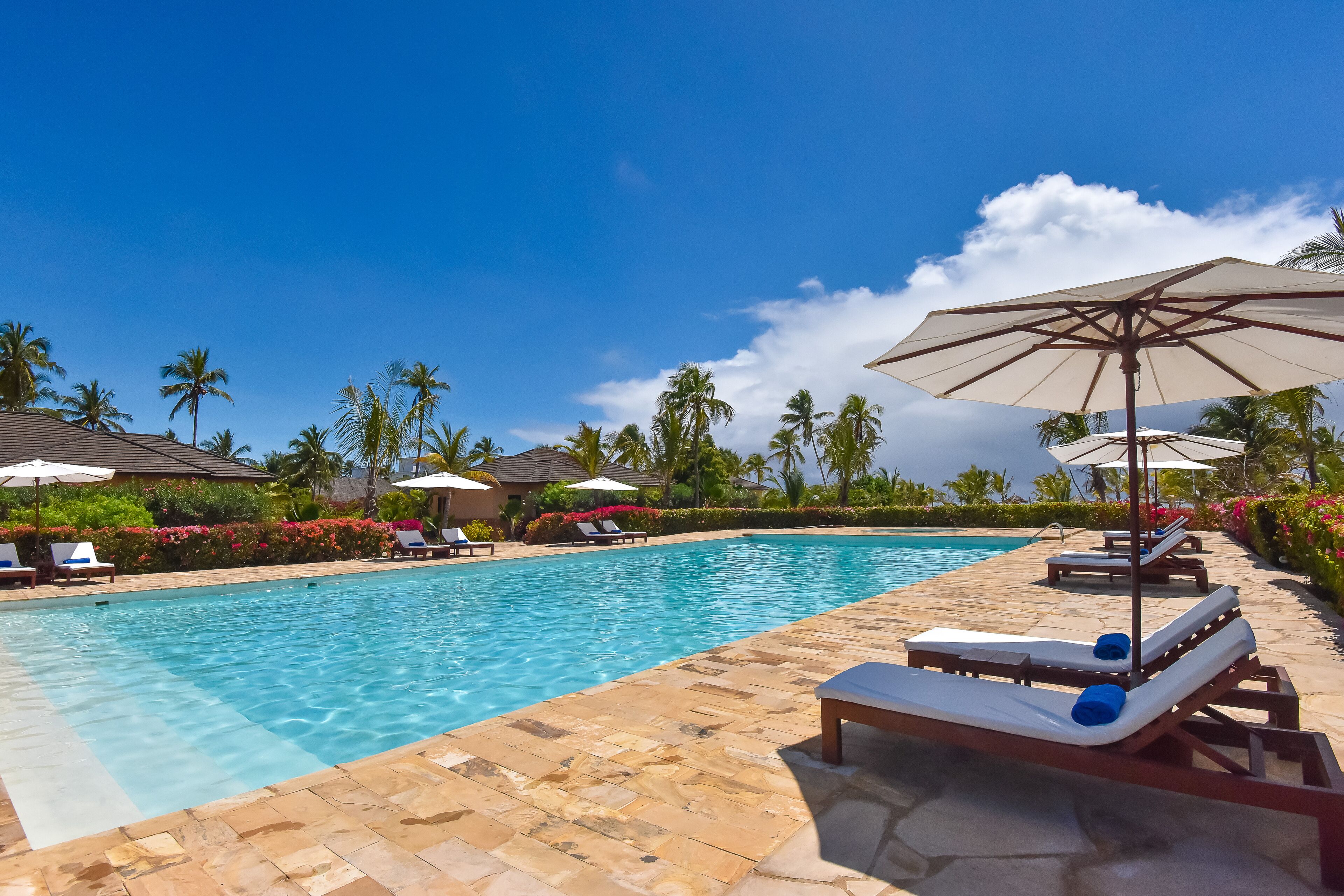 outdoor pool, pool loungers