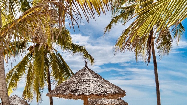 Une plage bordée de palmiers, dotée de parasols en chaume et de bancs en bois.
