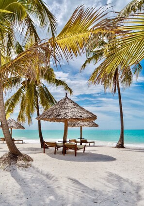 A beach with palm trees, thatched umbrellas, and wooden benches.