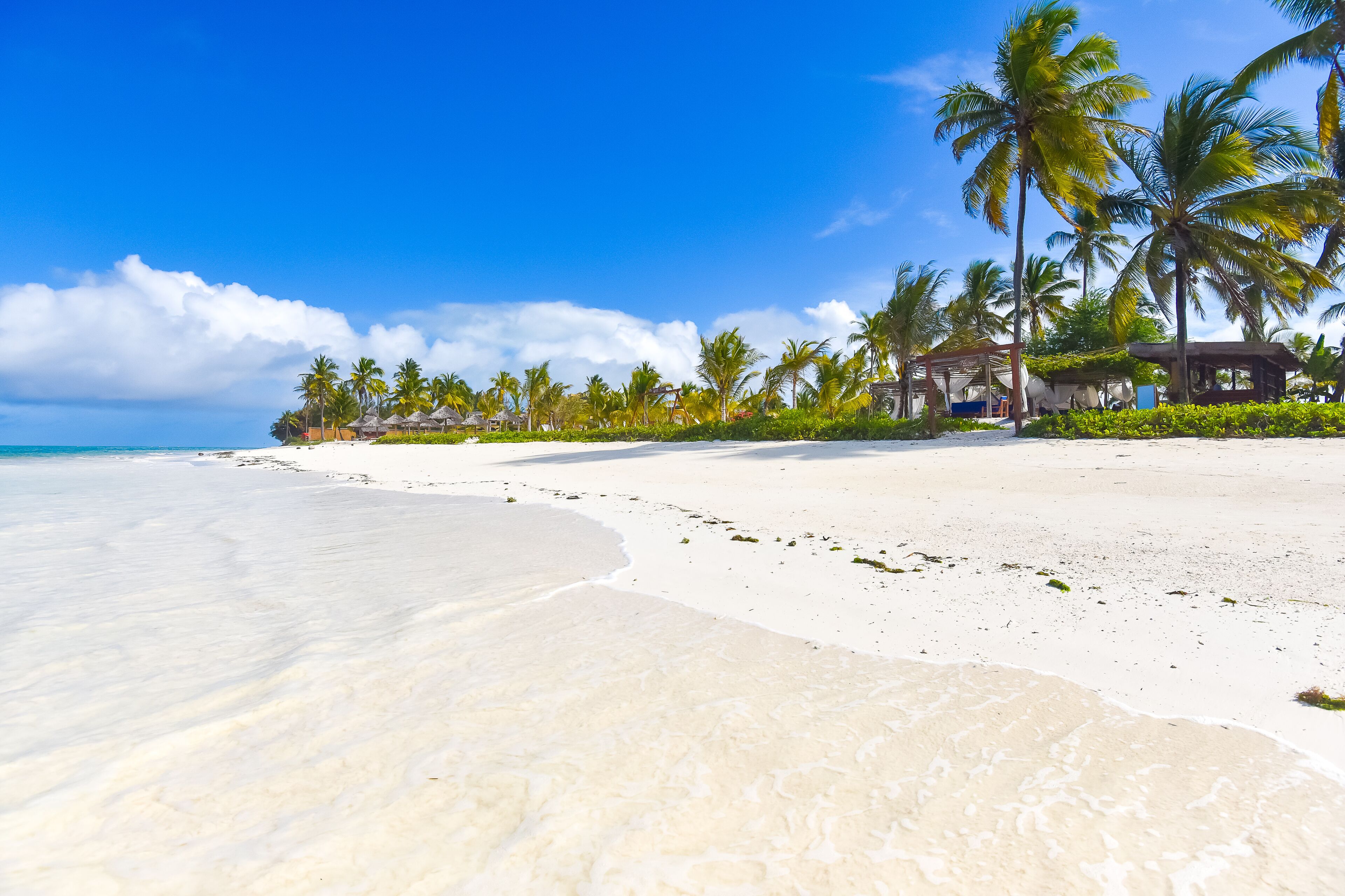 A beach with white sand, palm trees, and a clear blue sky.