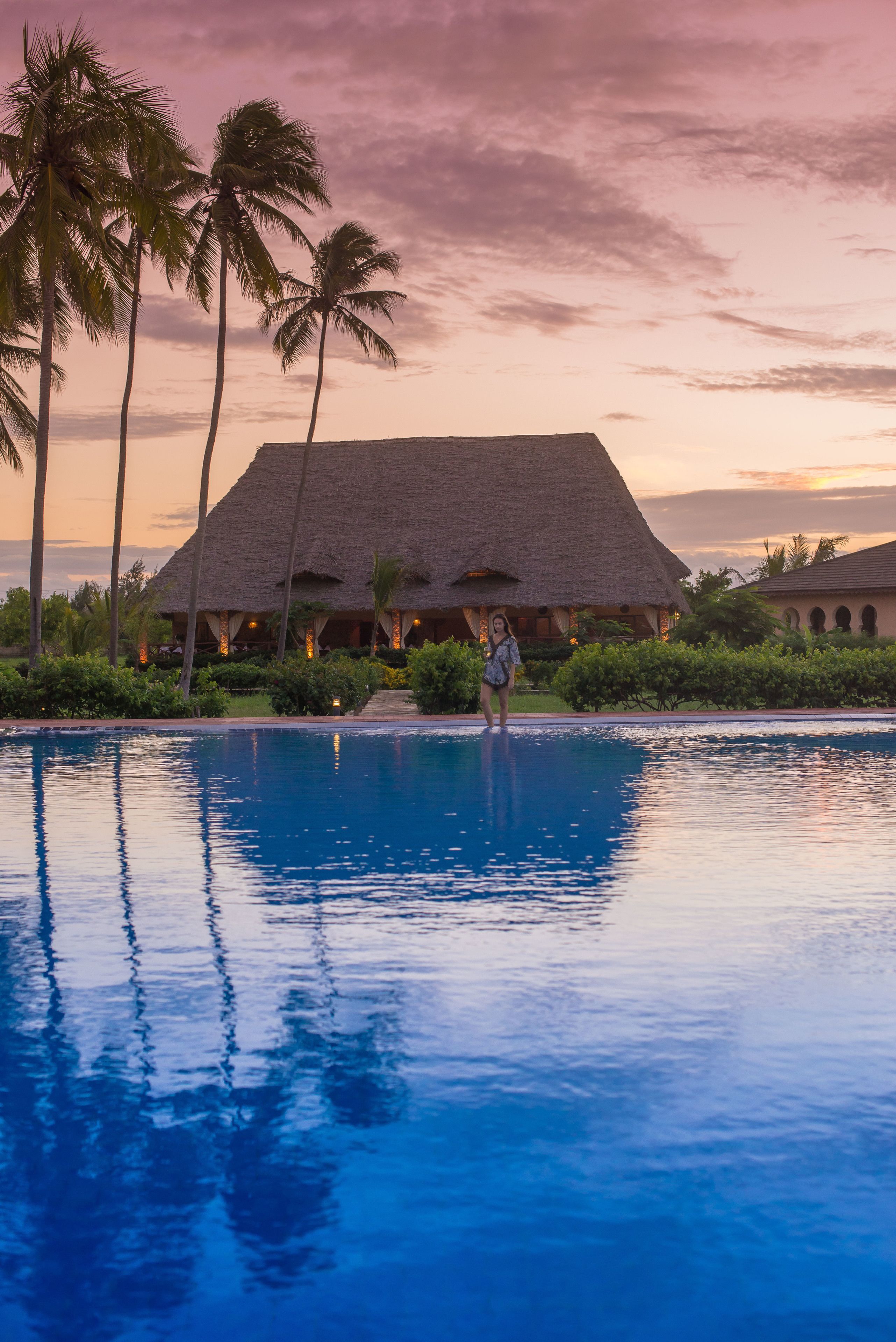 Outdoor pool, sun loungers