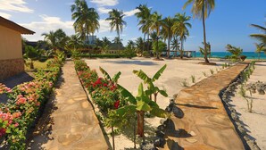 Un complexe hôtelier tropical doté d’un sentier en pierre, de palmiers et offrant une vue sur l’océan.