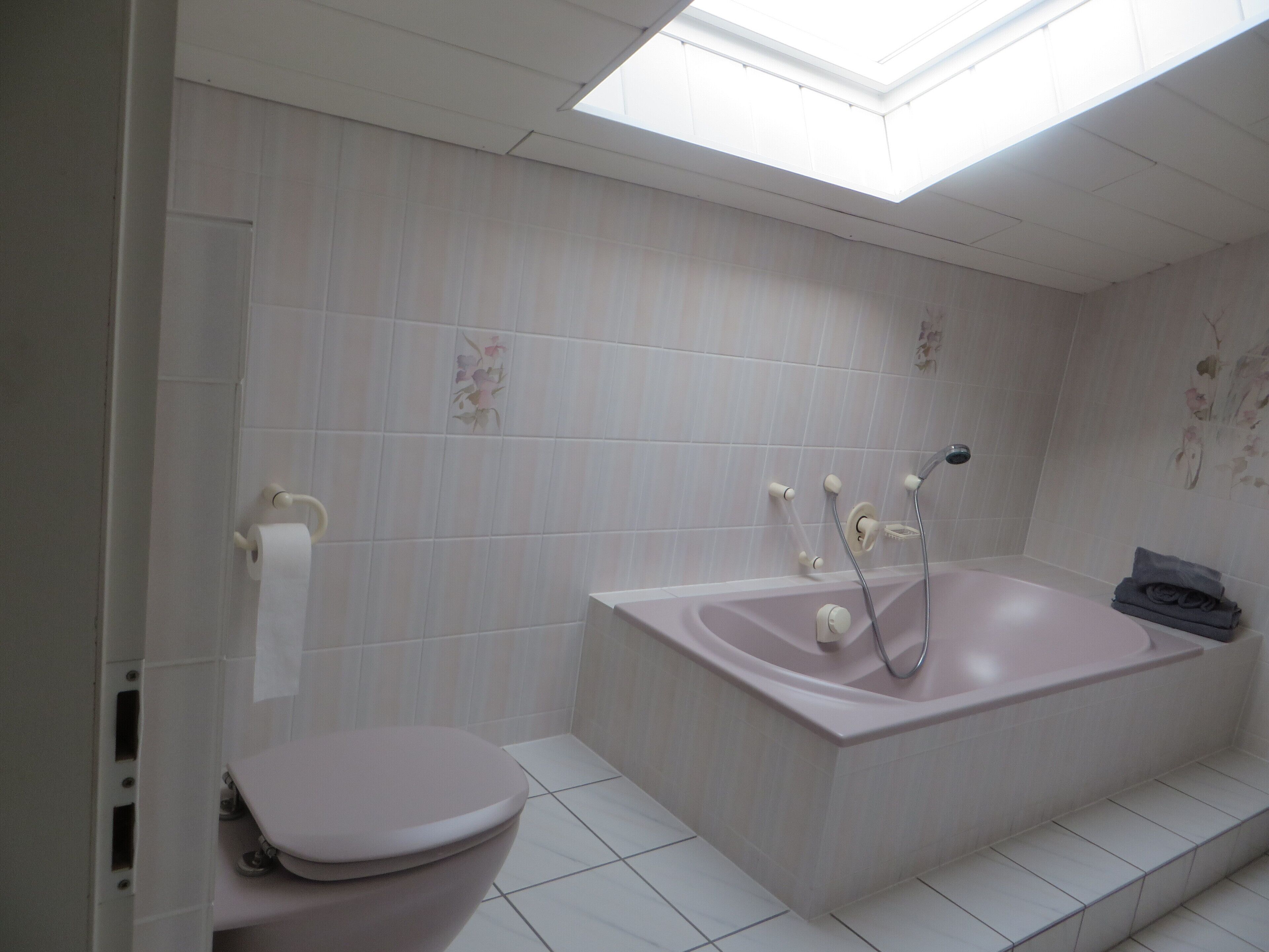 suite, private bathroom | bathroom