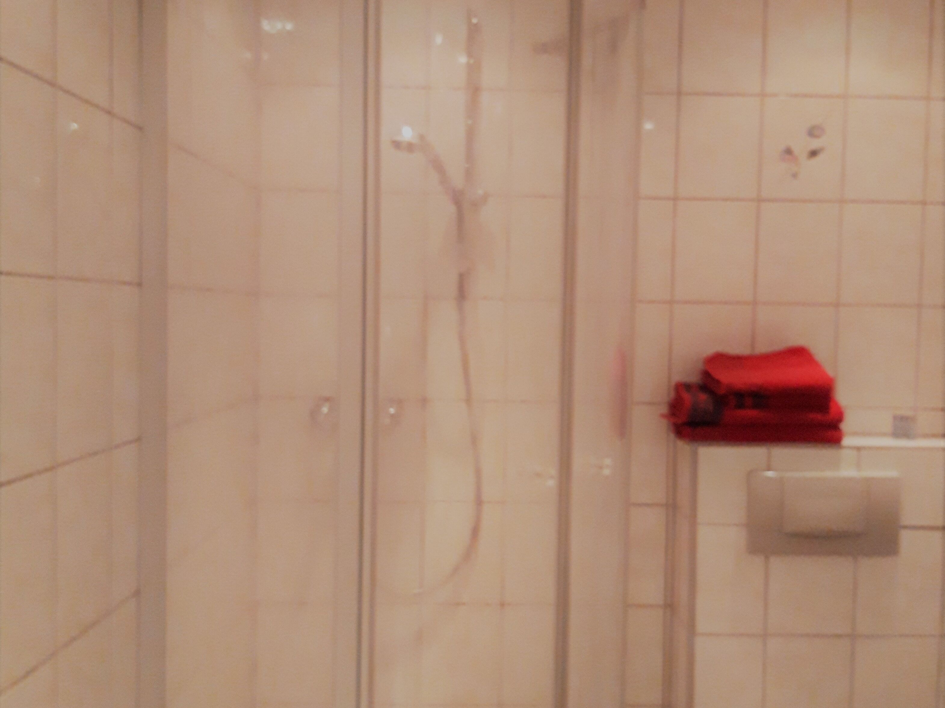 standard double room, private bathroom | bathroom