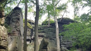 A natural rock formation with trees growing around it. - Landgasthof Ralinger Hof (Ralingen)