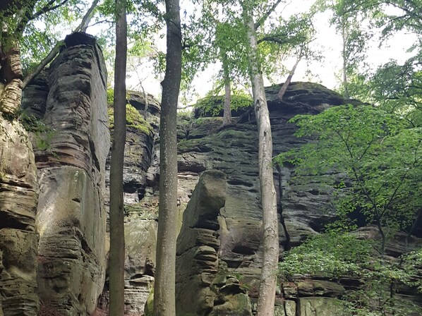 Une formation rocheuse naturelle, avec des arbres qui poussent autour.