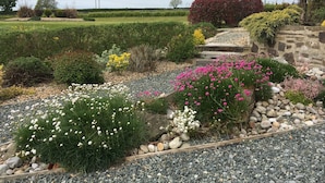 Un jardín con diversas plantas y flores, un sendero de grava y un muro de piedra.