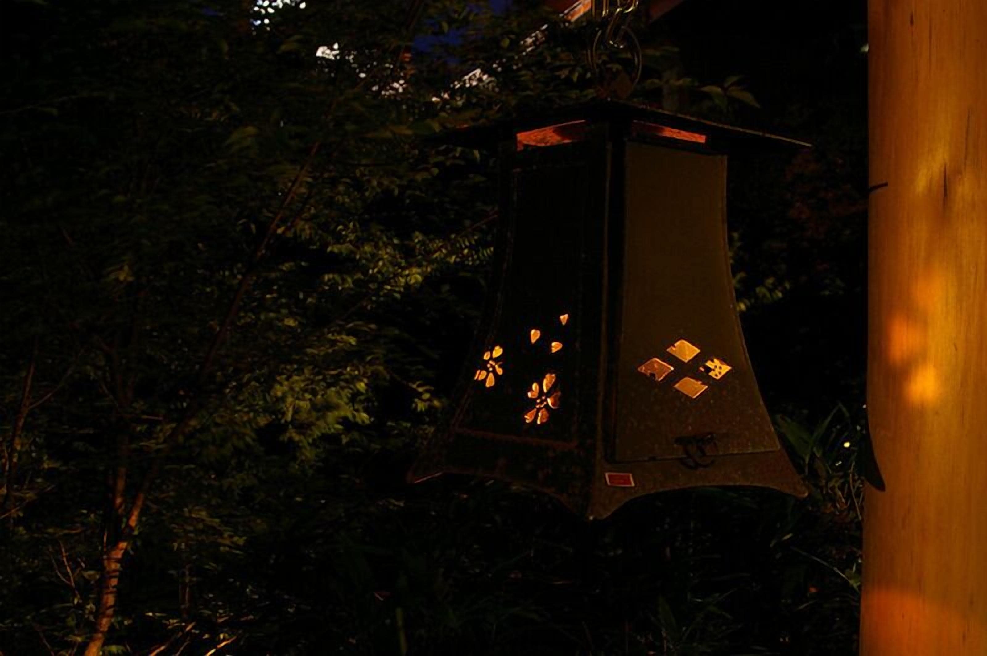 A lantern with a reflective surface and a small window, surrounded by dense foliage.