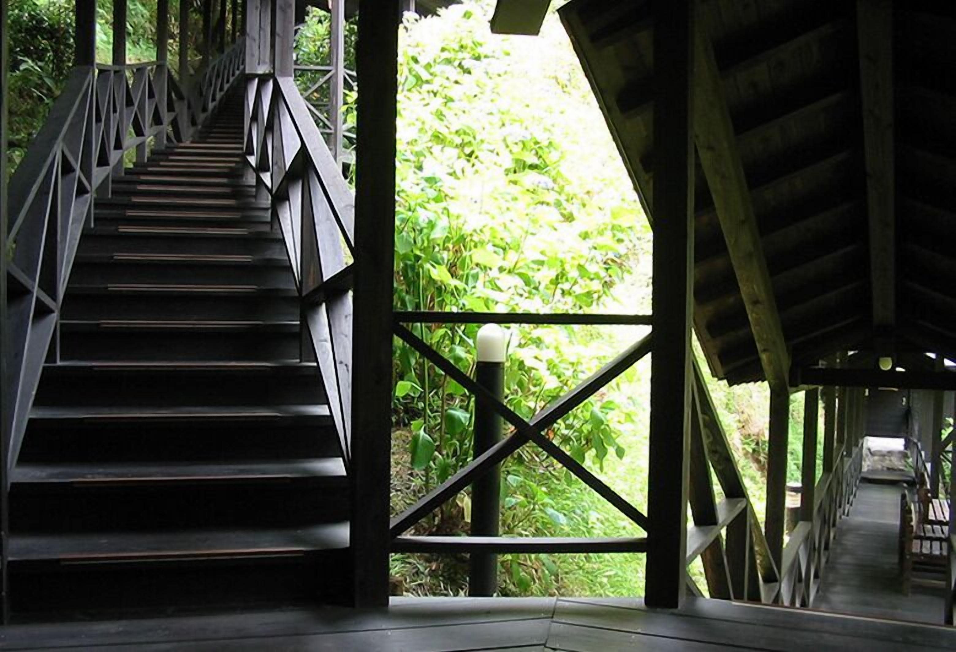 A wooden staircase leading to a covered area with a view of greenery outside.