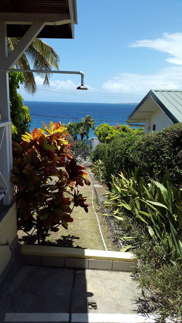 Garden - Ade's Domicil (Scarborough)