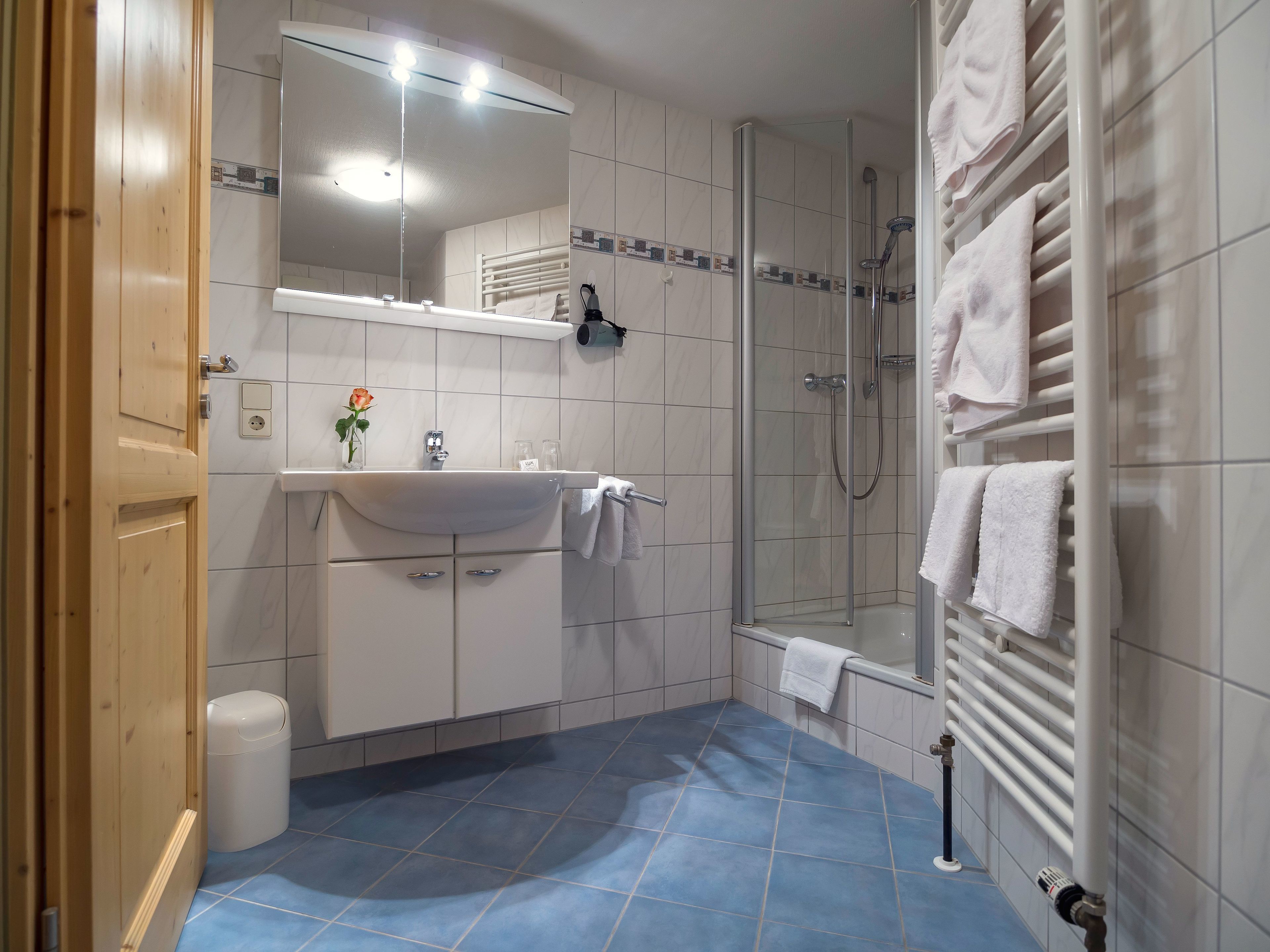 shower, free toiletries, hair dryer, towels