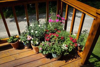 Apartment Strims - Zauchensee