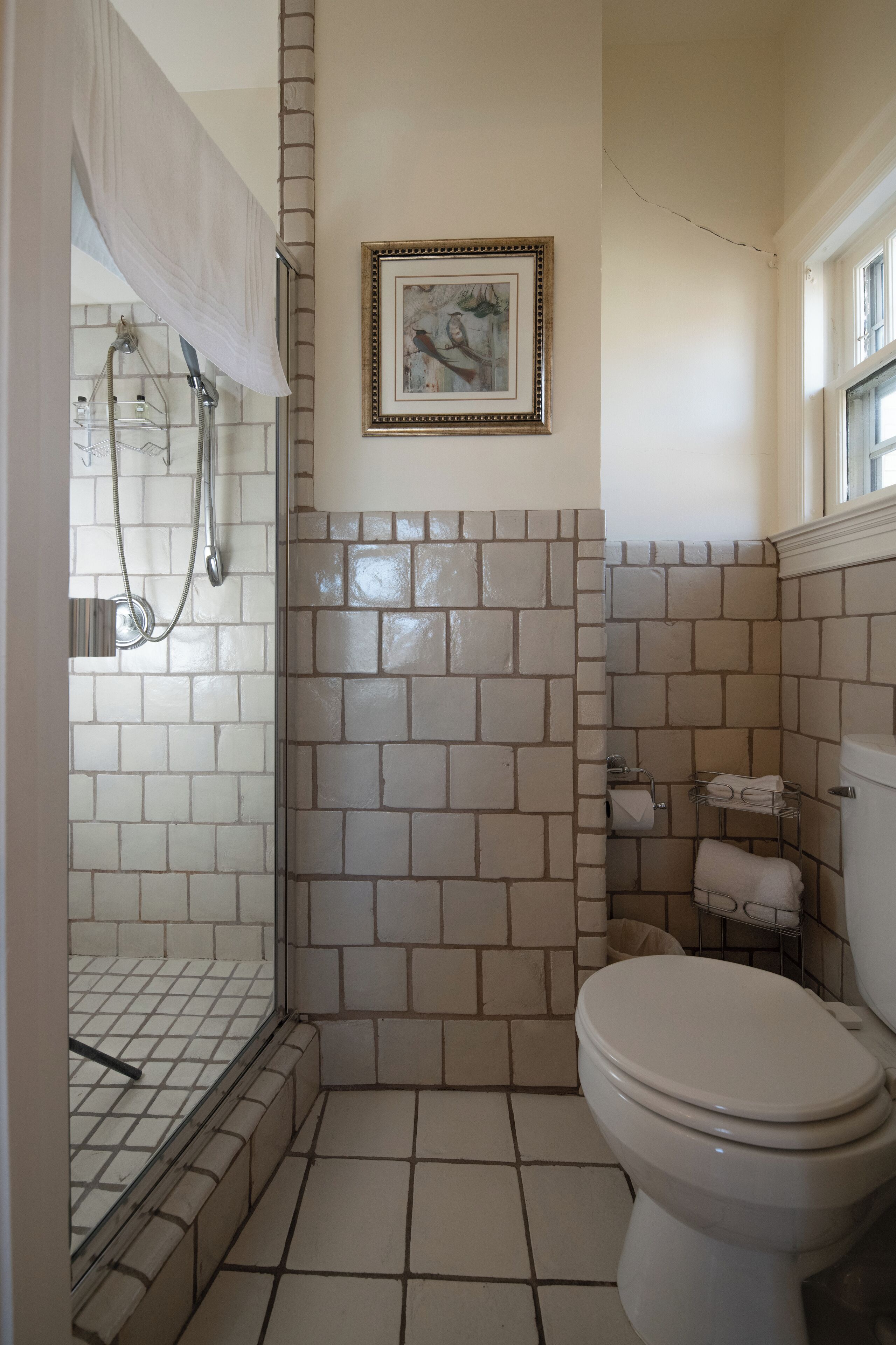 A bathroom with a shower, toilet, and a framed picture on the wall.