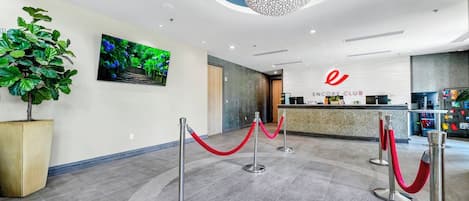 A modern hotel lobby with a reception desk, a large chandelier, and a potted plant.