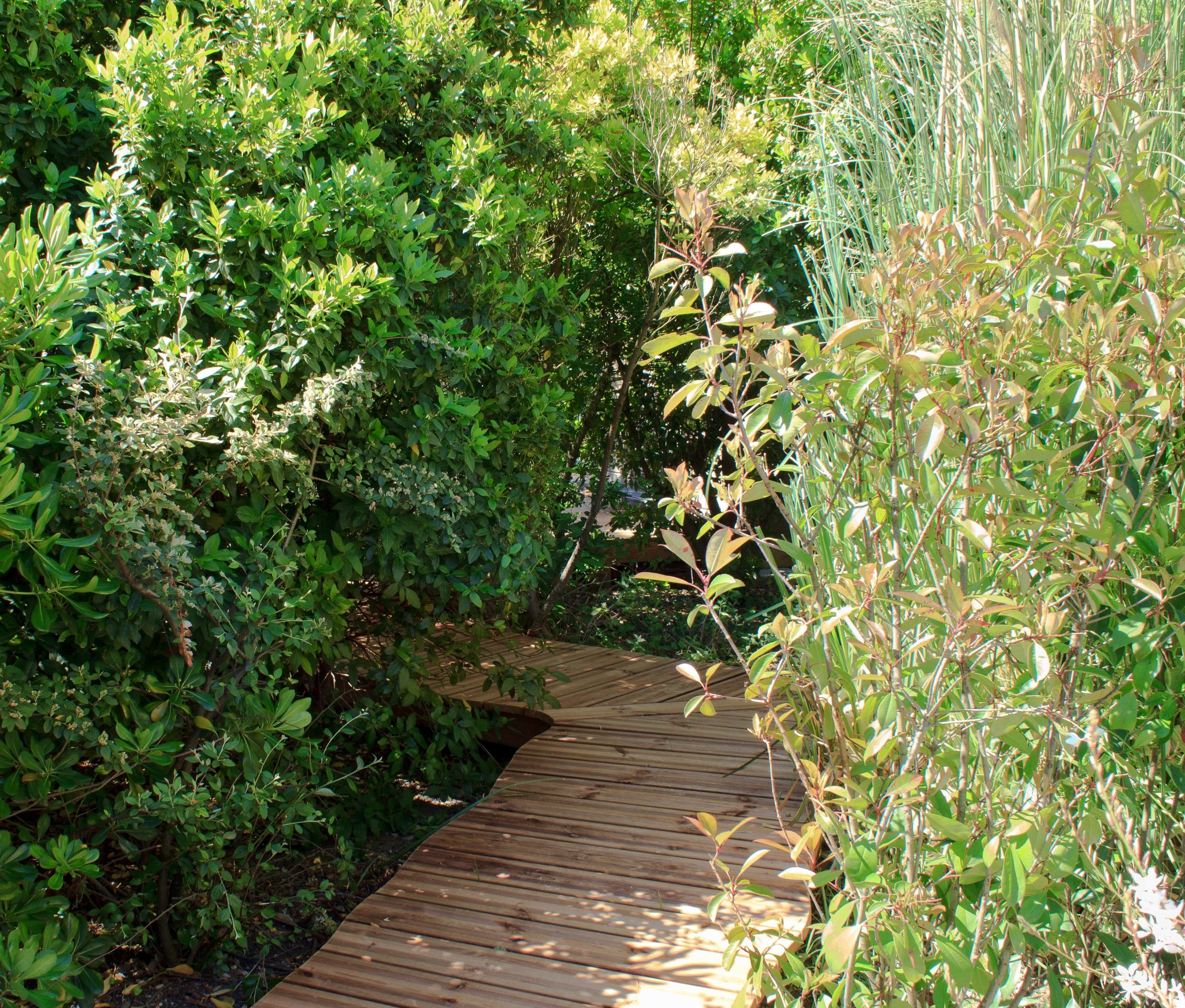 couples treatment room(s), sauna, hot tub, steam room