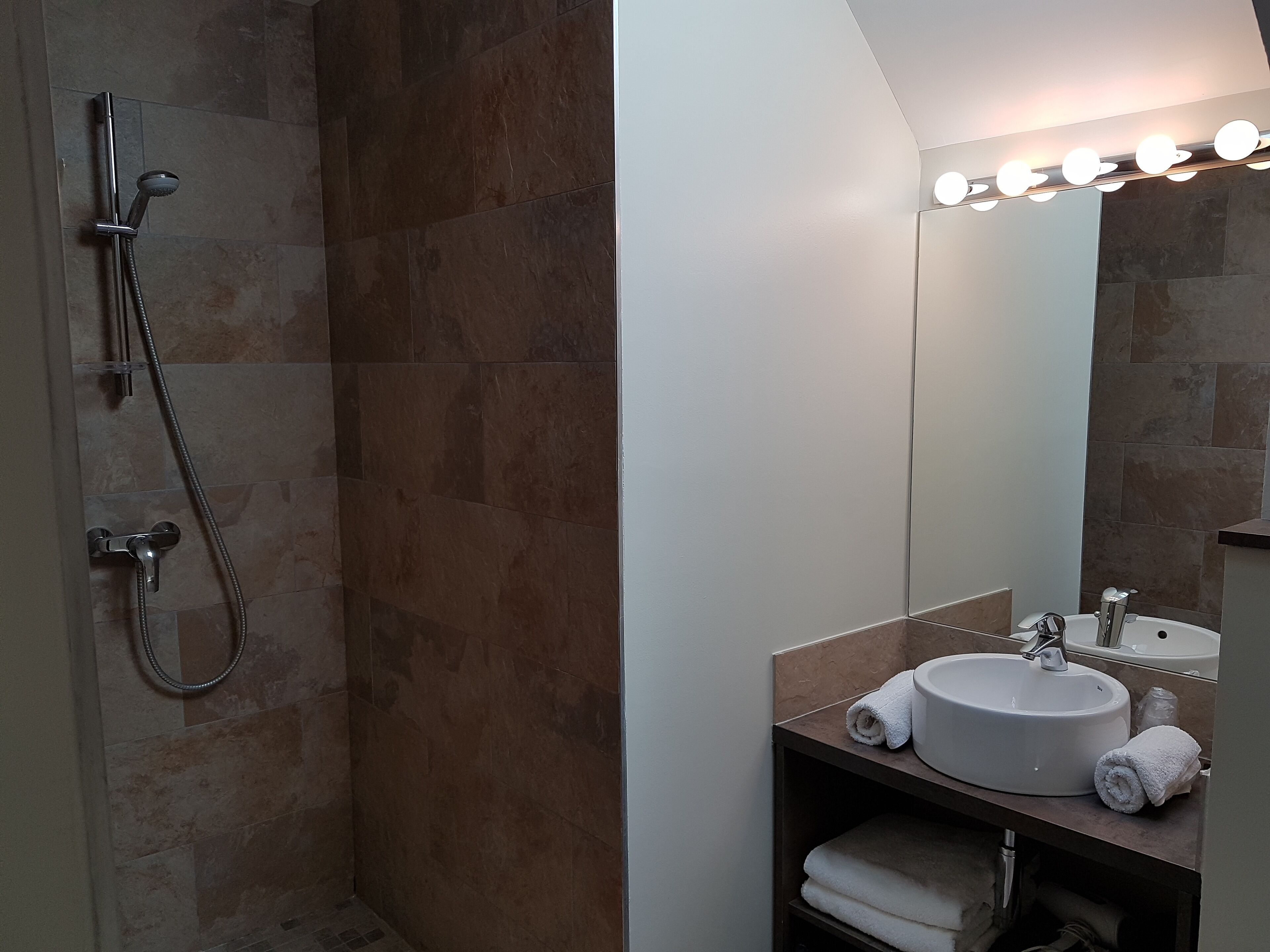 Une salle de bain avec une douche, un lavabo et un miroir.