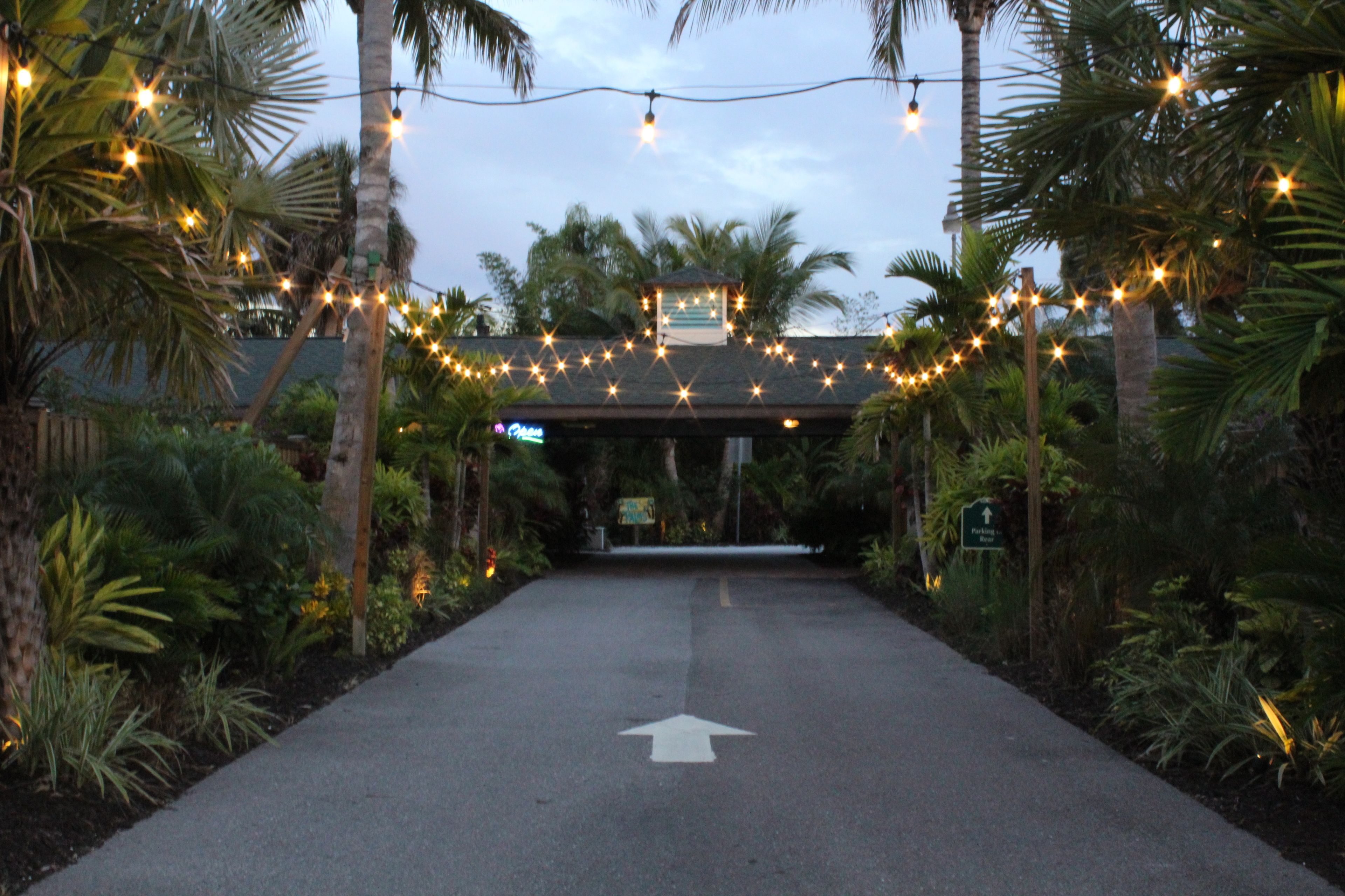 A pathway leading to a building with a sign overhead, surrounded by palm trees and string lights.