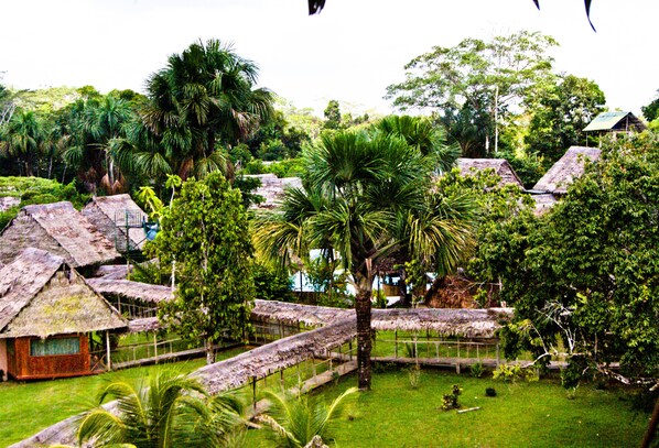 Khuôn viên nơi lưu trú