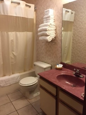 Combined shower/bathtub, free toiletries, hair dryer, towels