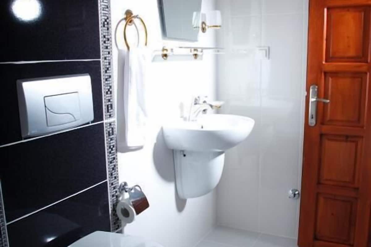 shower, hair dryer, slippers