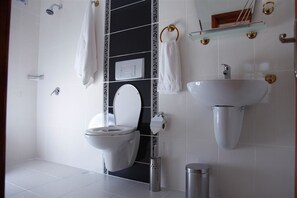 Shower, hair dryer, slippers