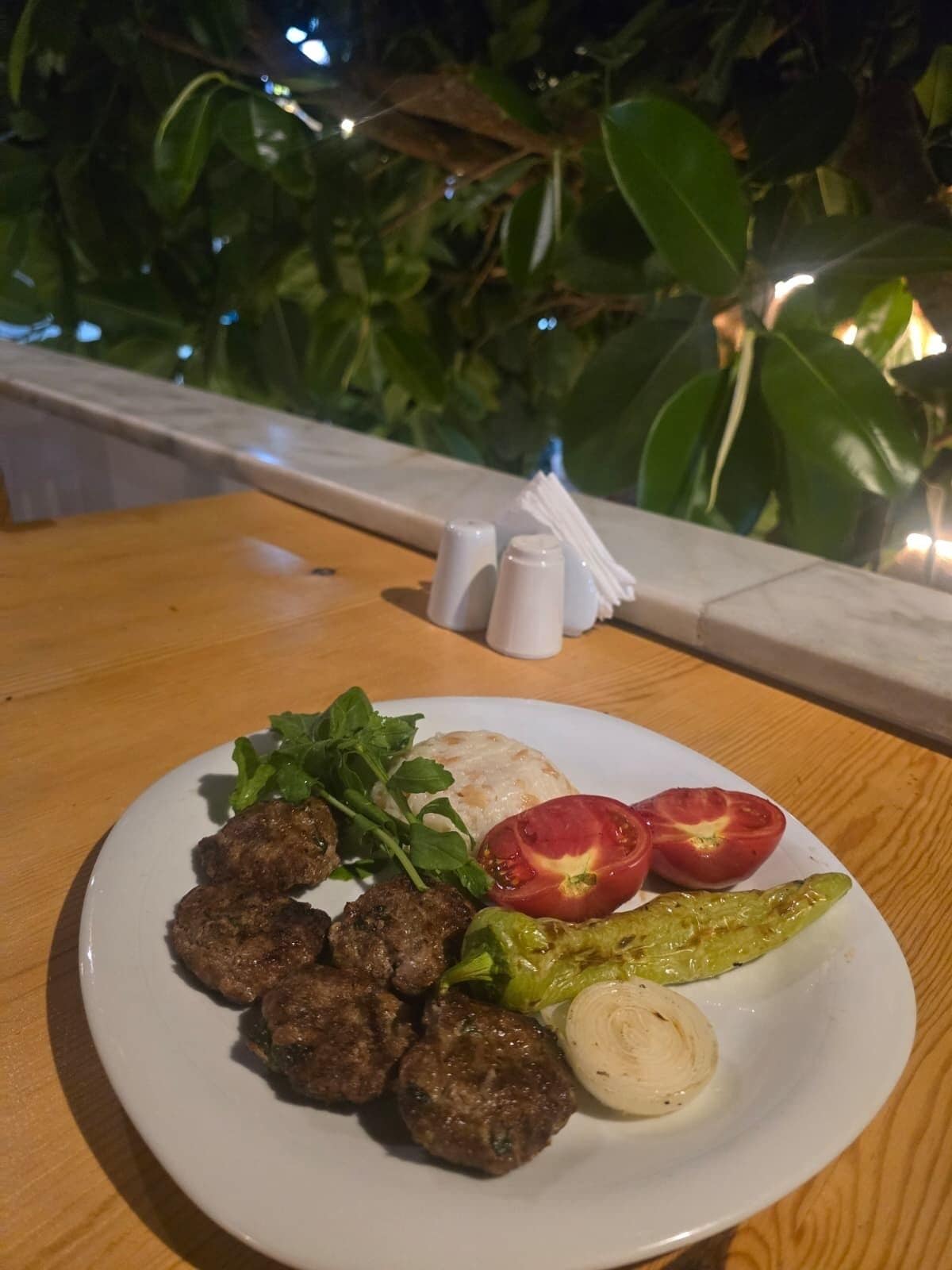 Un plato con albóndigas, tomates y pepinillos sobre una mesa de madera con una planta al fondo.