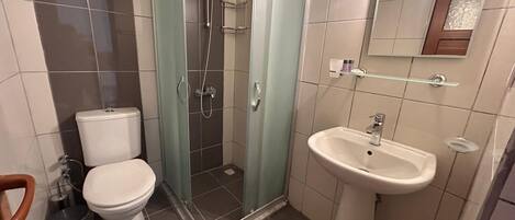 Un baño con inodoro, ducha con mampara de vidrio y lavamanos pedestal.