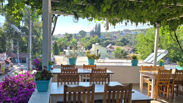 Un patio al aire libre con mesas y sillas de madera, rodeado de plantas en macetas y vistas de la ciudad.