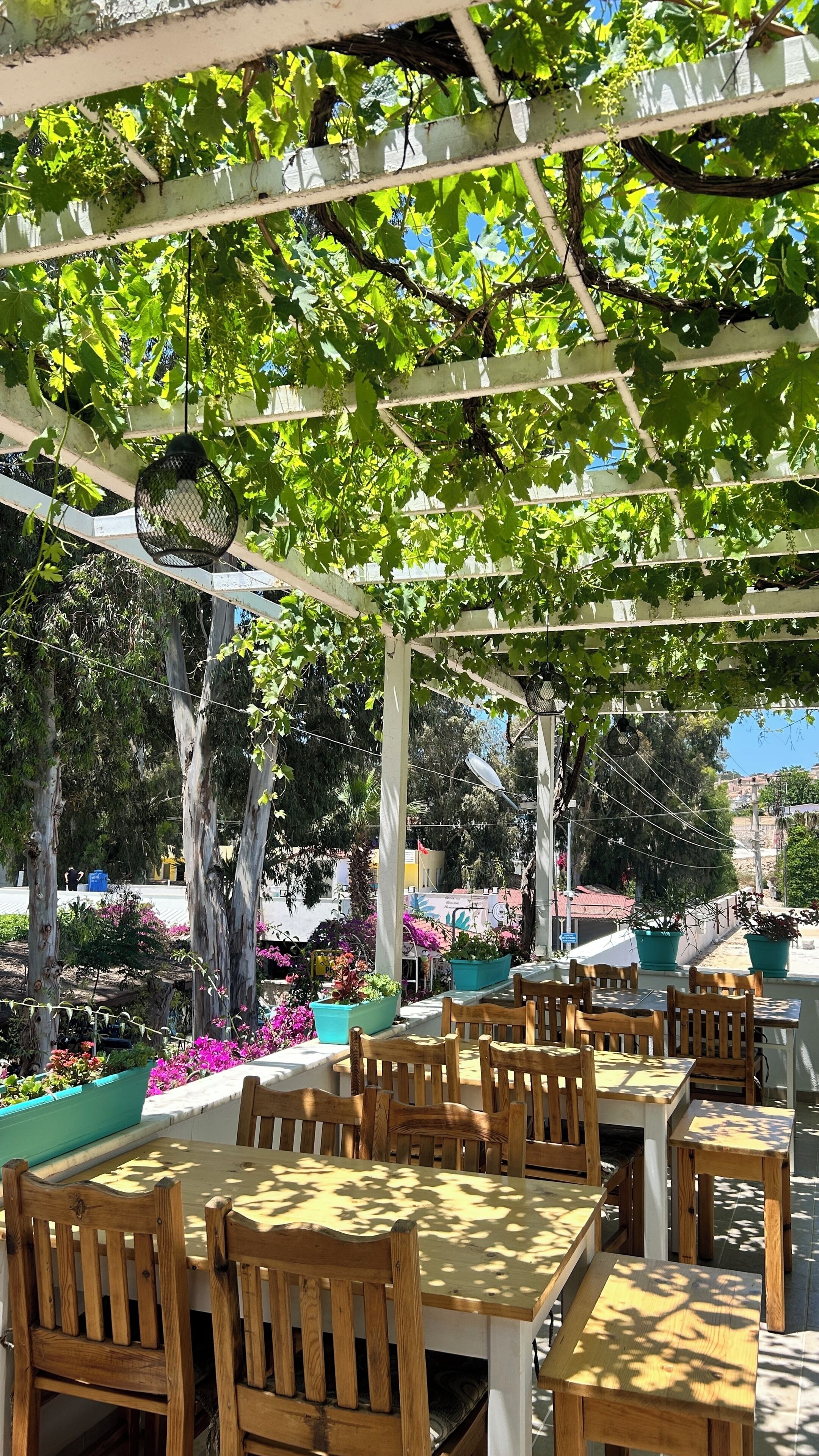Zona salotto all'aperto con tavoli e sedie di legno, circondata da piante e fiori in vaso.