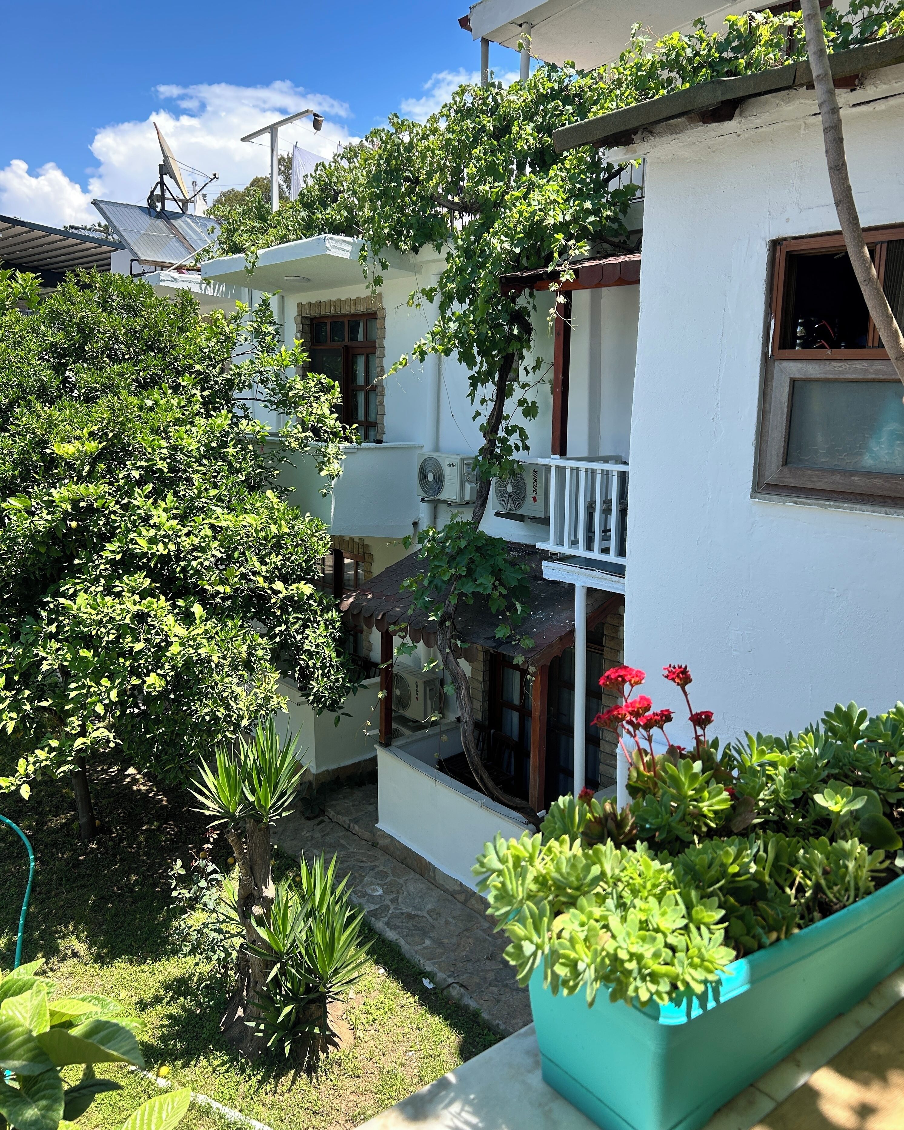 Jardín