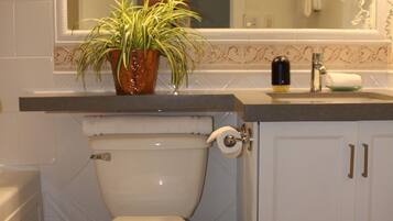 Une salle de bain avec des toilettes, un lavabo et un miroir. Une plante en pot est posée sur le comptoir.