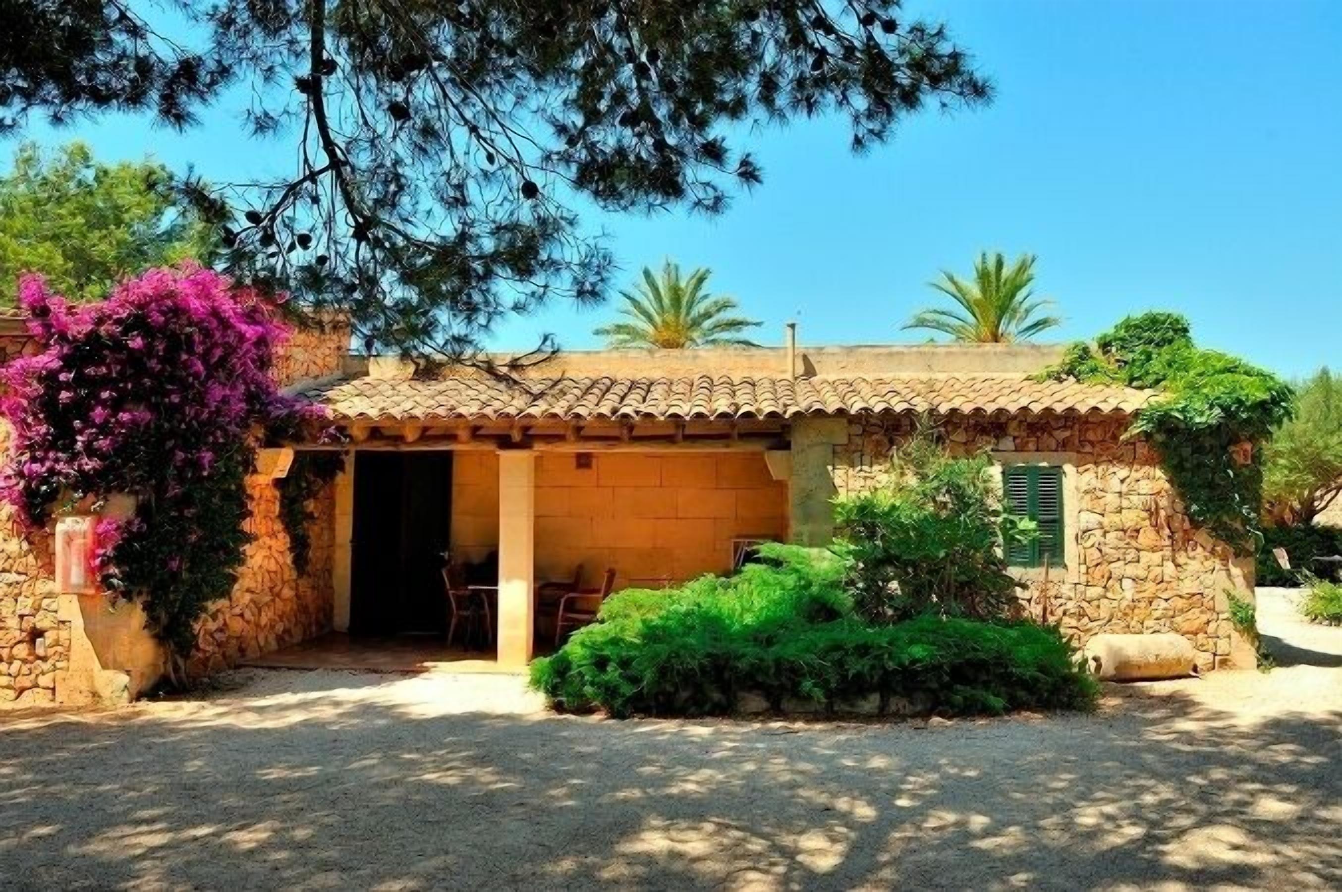 Apartamento, 2 quartos | Terraço/pátio